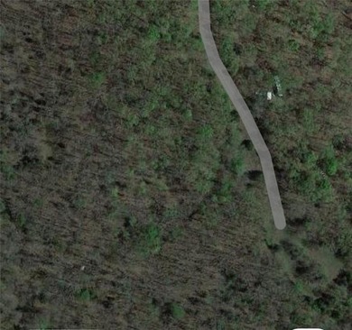 Lake of the Ozarks Acreage For Sale in Edwards Missouri