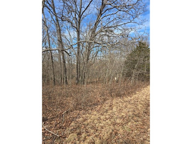 Discover 32 acres of pure, untouched land an ideal retreat for - photo 2