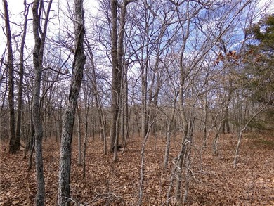 Discover 32 acres of pure, untouched land an ideal retreat for - photo 8