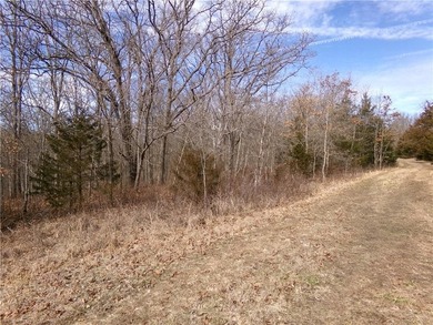 Discover 32 acres of pure, untouched land an ideal retreat for - photo 10