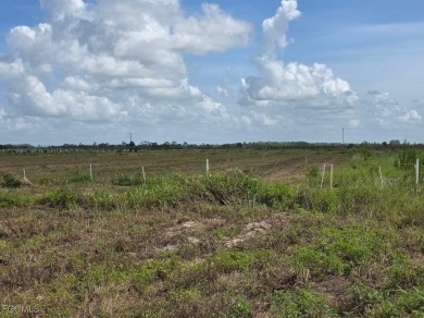 (private lake, pond, creek) Acreage Sale Pending in Labelle Florida