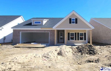 (private lake, pond, coastal) Home For Sale in Florence South Carolina