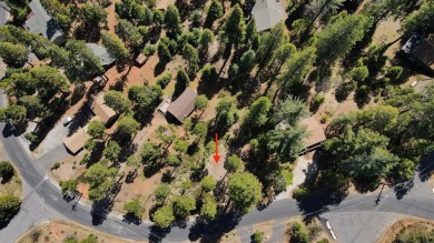 Lake Lot For Sale in Arnold, California