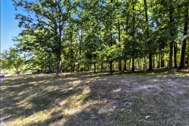 Fantastic opportunity to build your dream home on this - photo 20
