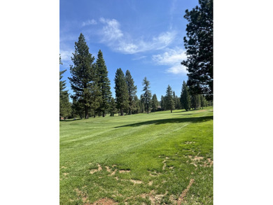Fabulous lot off the first tee box at Bailey Creek. Great vistas - photo 3