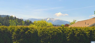 MAGNIFICENT SHOWPIECE! Just moments from all that Sequim has to - photo 7