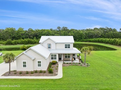 (private lake, pond, coastal) Home For Sale in Saint Simons Georgia