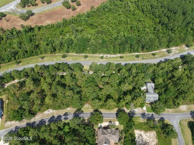 Discover the perfect setting for your custom coastal home on Lot - photo 7