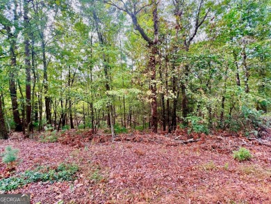 (private lake, pond, creek) Lot For Sale in Ellijay Georgia