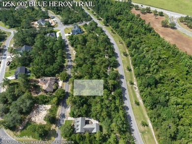 Discover the perfect setting for your custom coastal home on Lot - photo 3