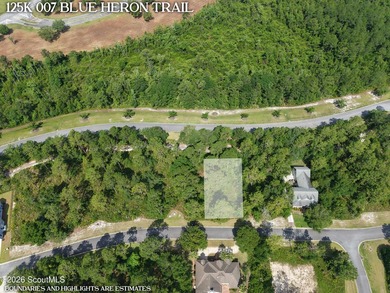 Discover the perfect setting for your custom coastal home on Lot - photo 4