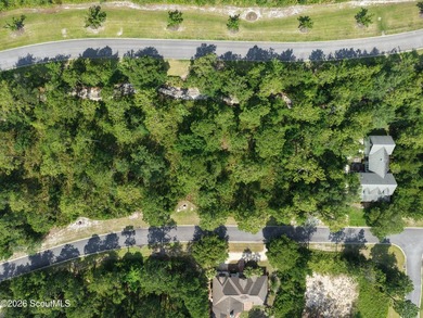 Discover the perfect setting for your custom coastal home on Lot - photo 6