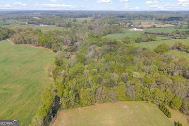 Discover the opportunity to own a beautiful farm, private estate - photo 11