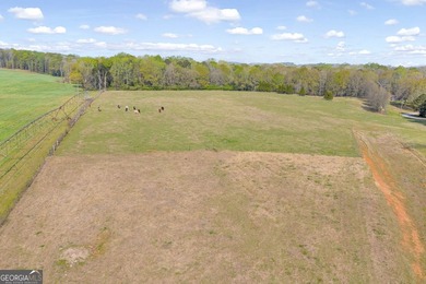 Discover the opportunity to own a beautiful farm, private estate - photo 12