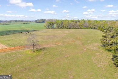 Discover the opportunity to own a beautiful farm, private estate - photo 13