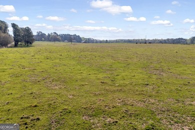 Discover the opportunity to own a beautiful farm, private estate - photo 15