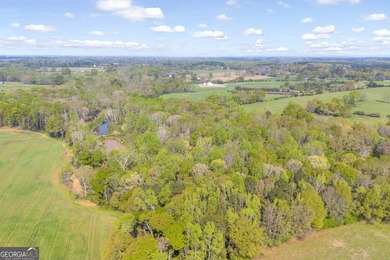 Discover the opportunity to own a beautiful farm, private estate - photo 19