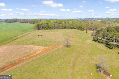 Discover the opportunity to own a beautiful farm, private estate - photo 20