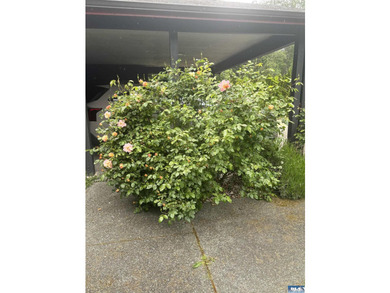 Beautiful 2 bedroom, 3 bath home on one level. This is a - photo 5