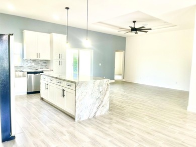 Move-In Ready New Construction - NO HOA -This 4-bedroom - photo 6