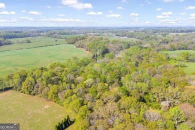 Discover the opportunity to own a beautiful farm, private estate - photo 28