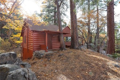 Lake Home For Sale in Big Bear Lake, California