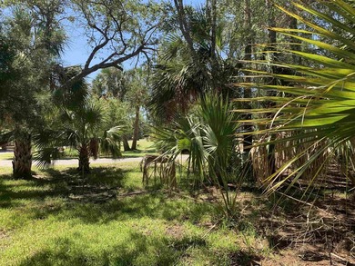 31 acre lot in Southside Estates - photo 2