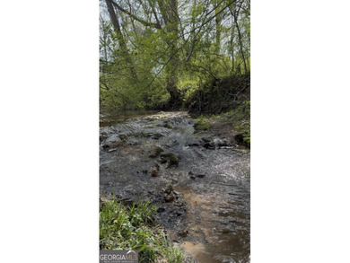 Discover the opportunity to own a beautiful farm, private estate - photo 33