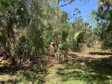 31 acre lot in Southside Estates - photo 4