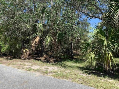 31 acre lot in Southside Estates - photo 8