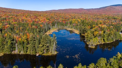 Lake Home For Sale in Saranac, New York