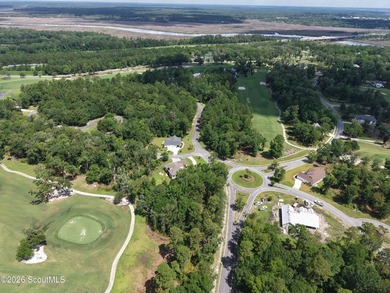 Build your dream home on Lot 21 Audubon Wynd in the highly - photo 10