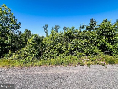 For Sale: 7.76 Acres of A1 Zoning land opportunity in Warsaw - photo 3