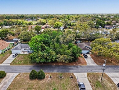Under contract-accepting backup offers. Build the home you have - photo 3