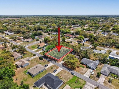 Under contract-accepting backup offers. Build the home you have - photo 5