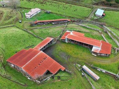 560 acres where sheep once ruled the hills-more than 500 of them - photo 27