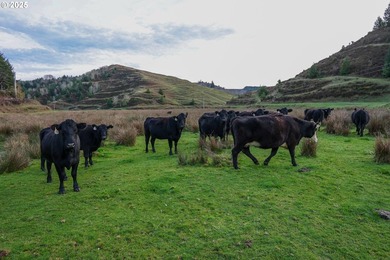 560 acres where sheep once ruled the hills-more than 500 of them - photo 28