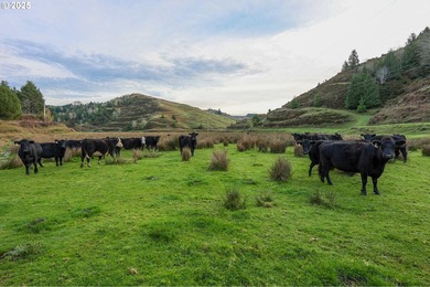 560 acres where sheep once ruled the hills-more than 500 of them - photo 29