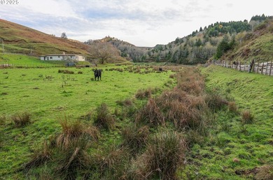 560 acres where sheep once ruled the hills-more than 500 of them - photo 30