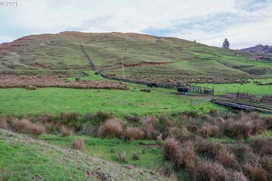560 acres where sheep once ruled the hills-more than 500 of them - photo 31