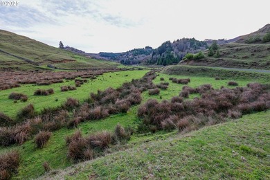 560 acres where sheep once ruled the hills-more than 500 of them - photo 32