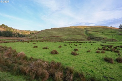 560 acres where sheep once ruled the hills-more than 500 of them - photo 34