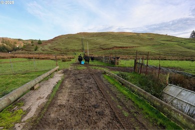 560 acres where sheep once ruled the hills-more than 500 of them - photo 35
