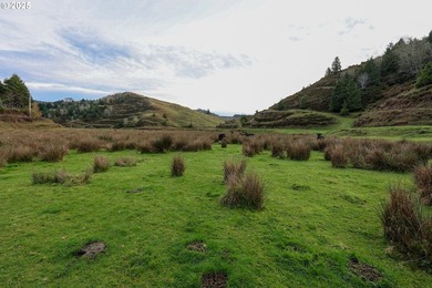560 acres where sheep once ruled the hills-more than 500 of them - photo 37