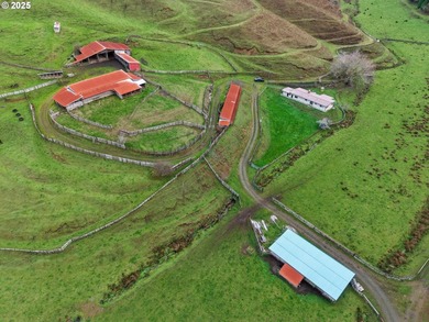 560 acres where sheep once ruled the hills-more than 500 of them - photo 39