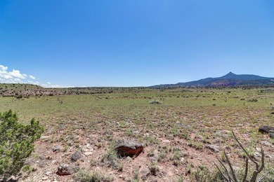 Lot 3 in the Las Animas de Abiquiu subdivision consists of - photo 3