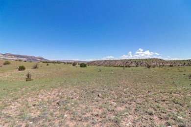 Lot 3 in the Las Animas de Abiquiu subdivision consists of - photo 4