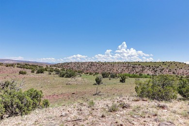 Lot 3 in the Las Animas de Abiquiu subdivision consists of - photo 7