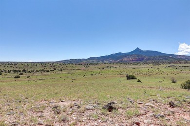 Lot 3 in the Las Animas de Abiquiu subdivision consists of - photo 8