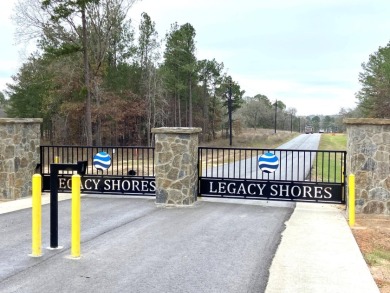 1 Waterfront Lot, 1 Acreage - photo 2